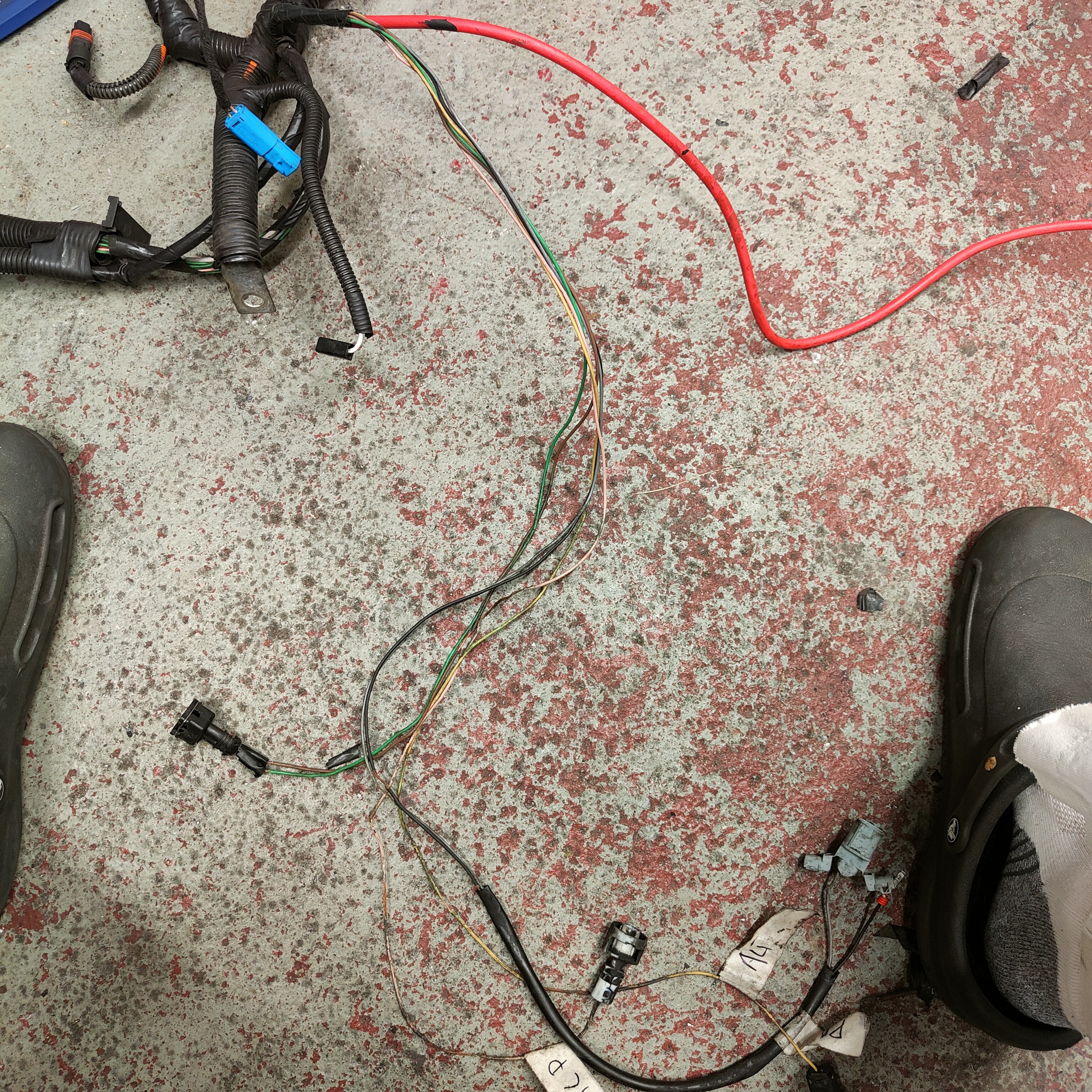 IMG20251022131353.jpg