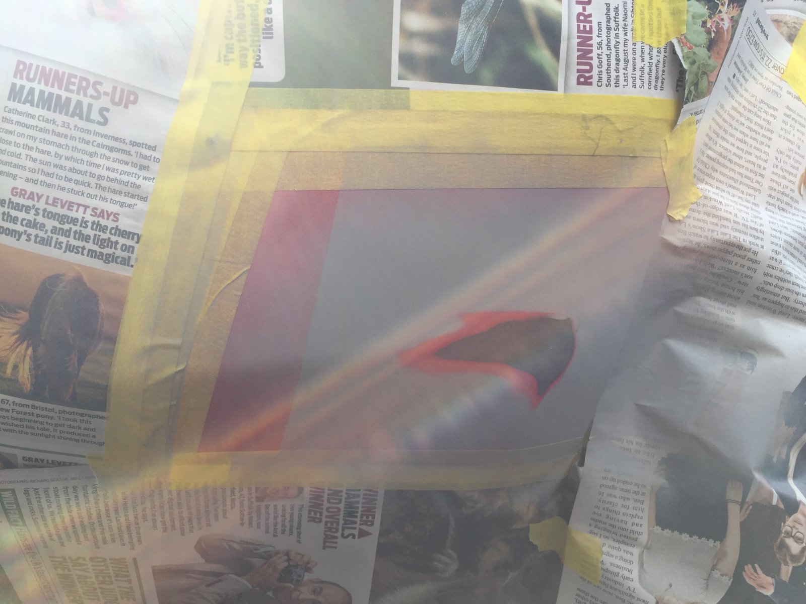 IMG_0007.JPG IMG_0007.JPG