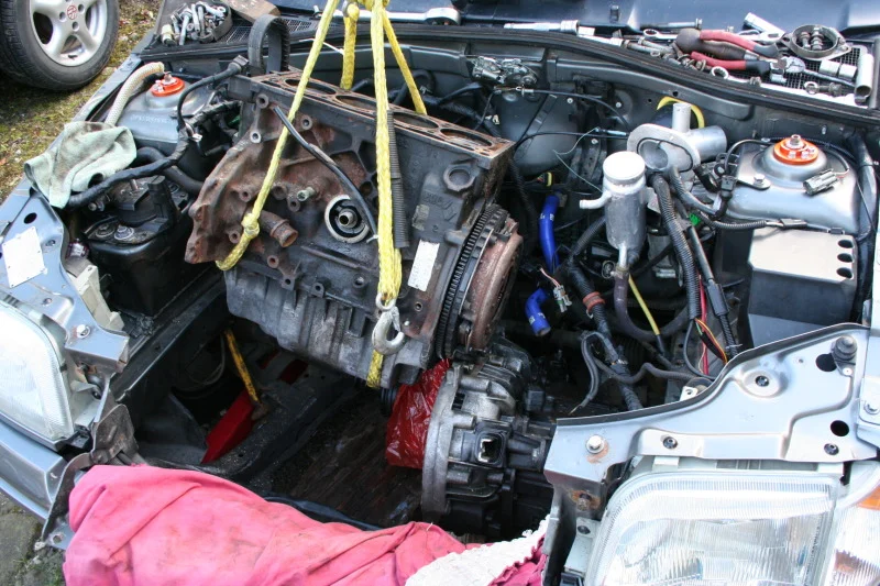 IMG_0008-1.webp