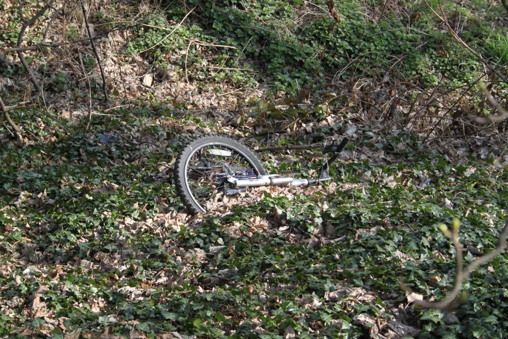 IMG_0014.webp