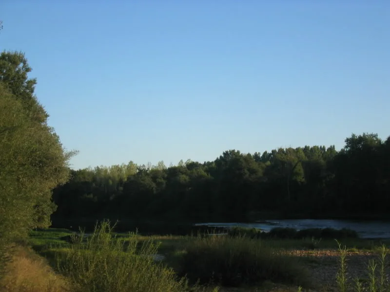 IMG_0028.webp