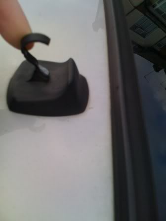 IMG_0053.jpg