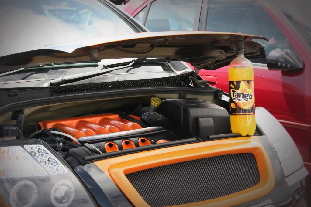 IMG_0074.jpg IMG_0074.jpg