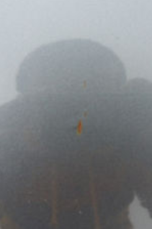 IMG_0106-1.png IMG_0106-1.png