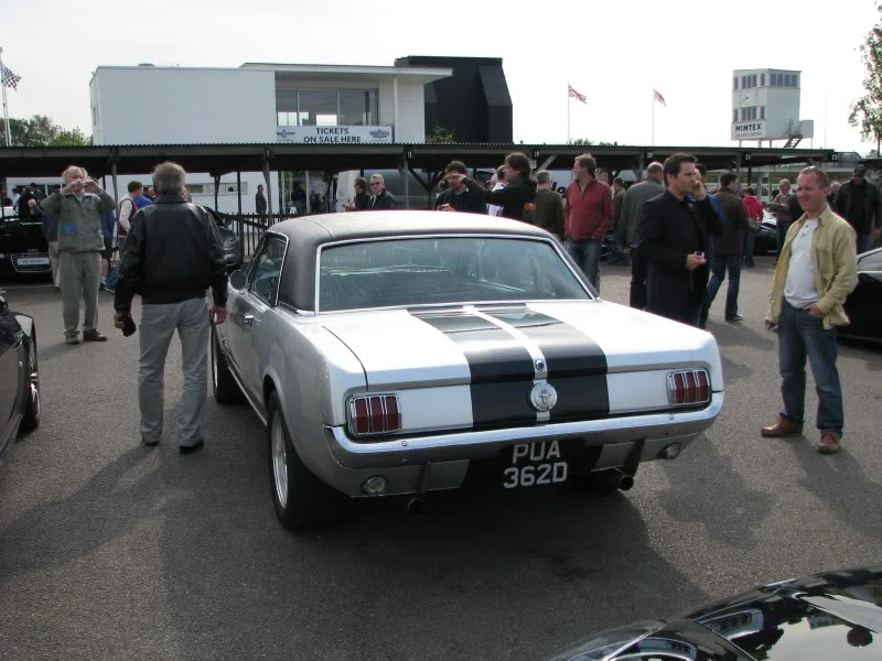 IMG_0110.webp