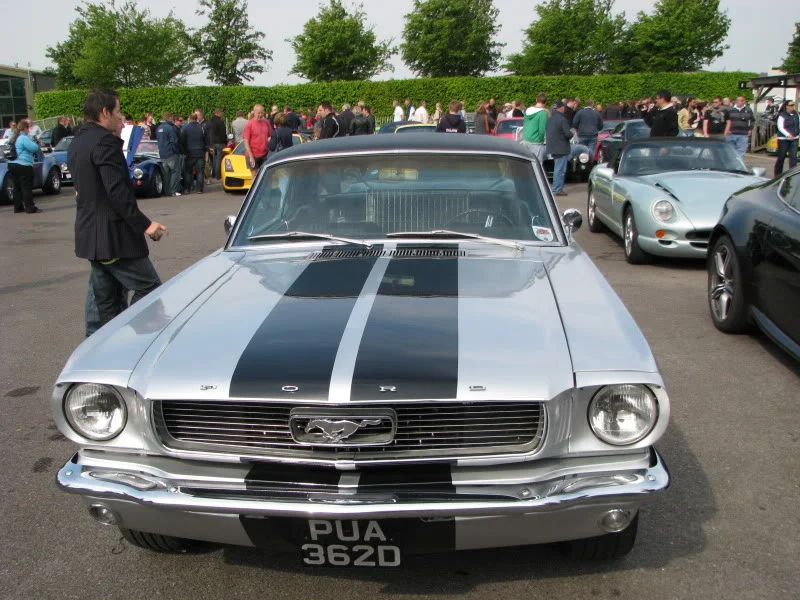 IMG_0111.webp