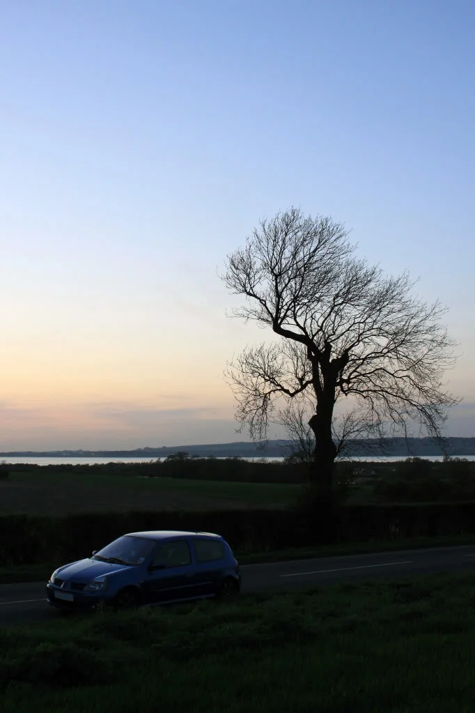 IMG_0132xx.webp
