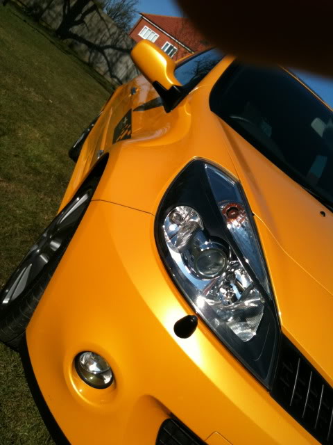 IMG_0133.jpg IMG_0133.jpg