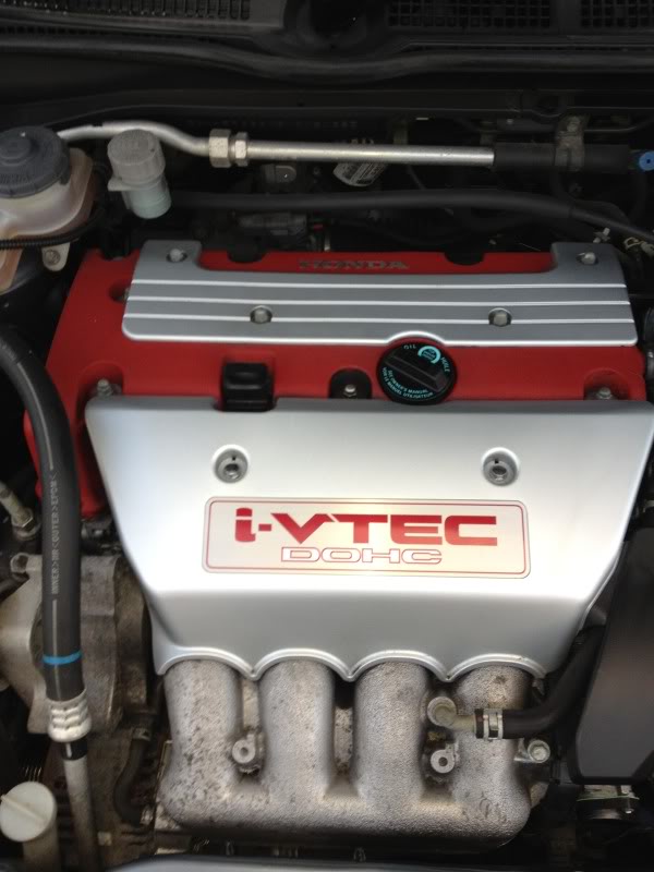 IMG_0146-1.jpg IMG_0146-1.jpg