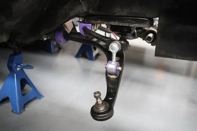 IMG_0153Large.webp
