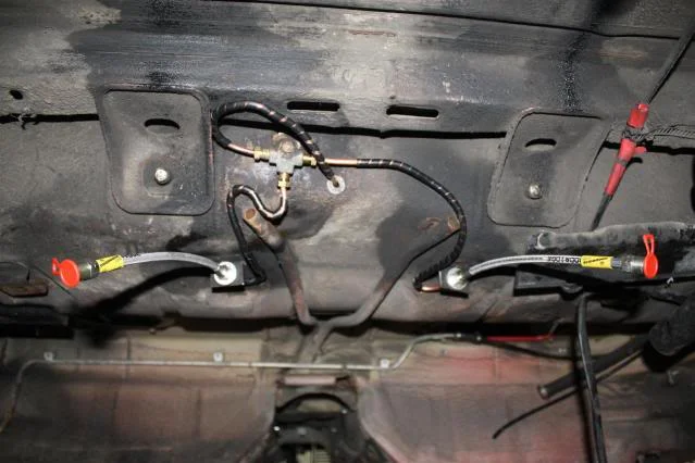 IMG_0182Large.webp