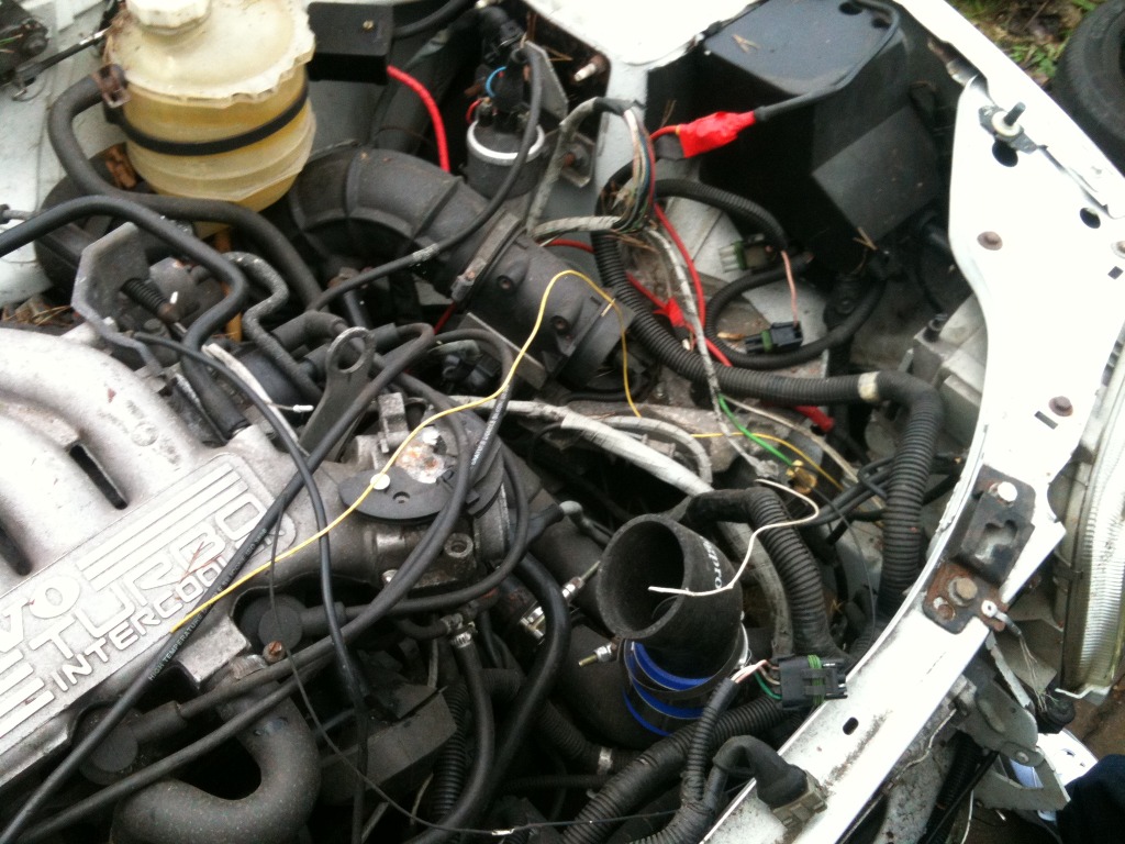 IMG_0222.jpg IMG_0222.jpg