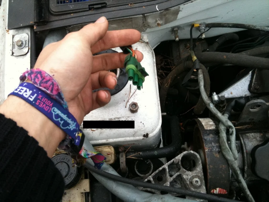 IMG_0223.webp