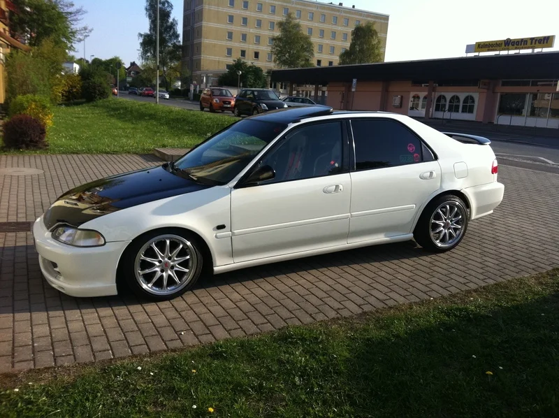 img_0226x7lba.webp