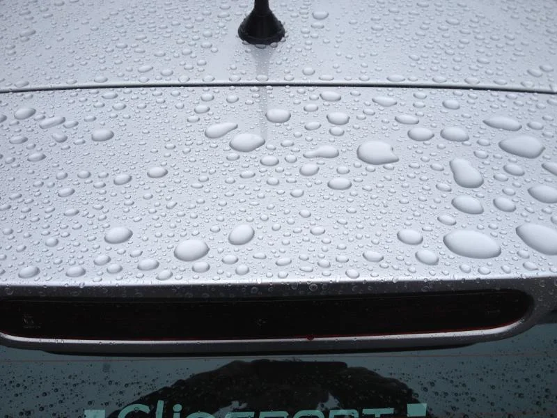IMG_0266.webp