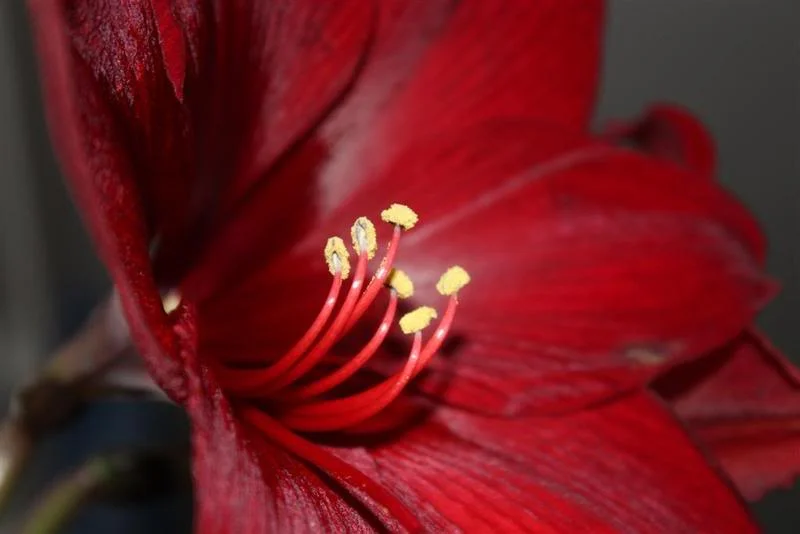 IMG_0280Large.webp