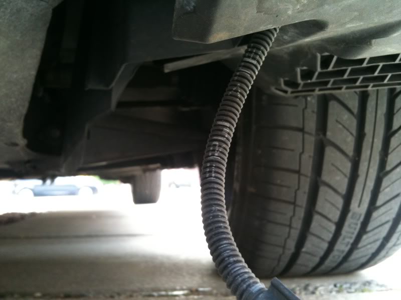 IMG_0304.jpg IMG_0304.jpg