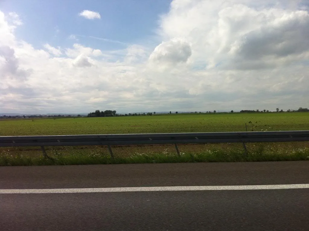 IMG_0307.webp