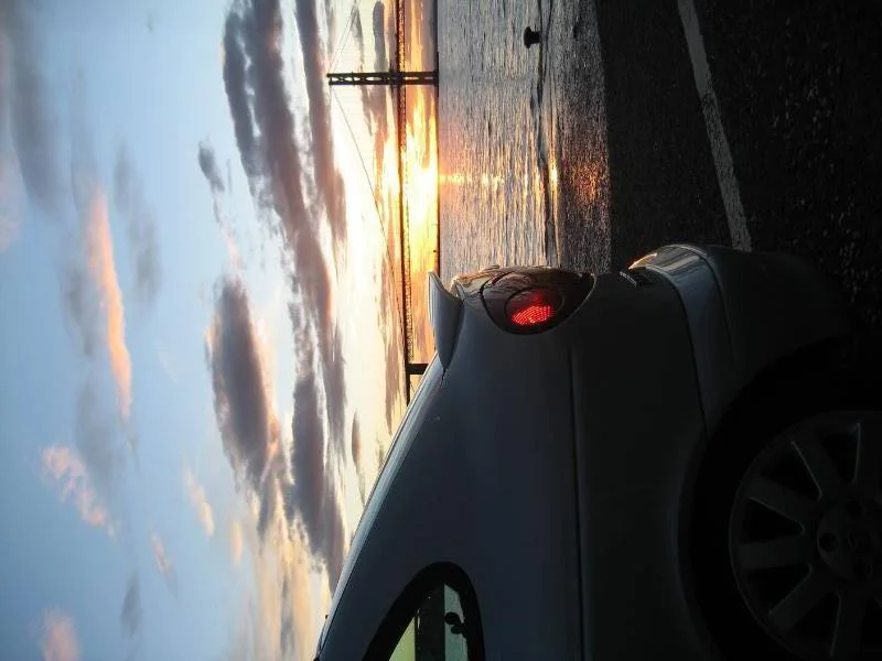 IMG_0310.webp