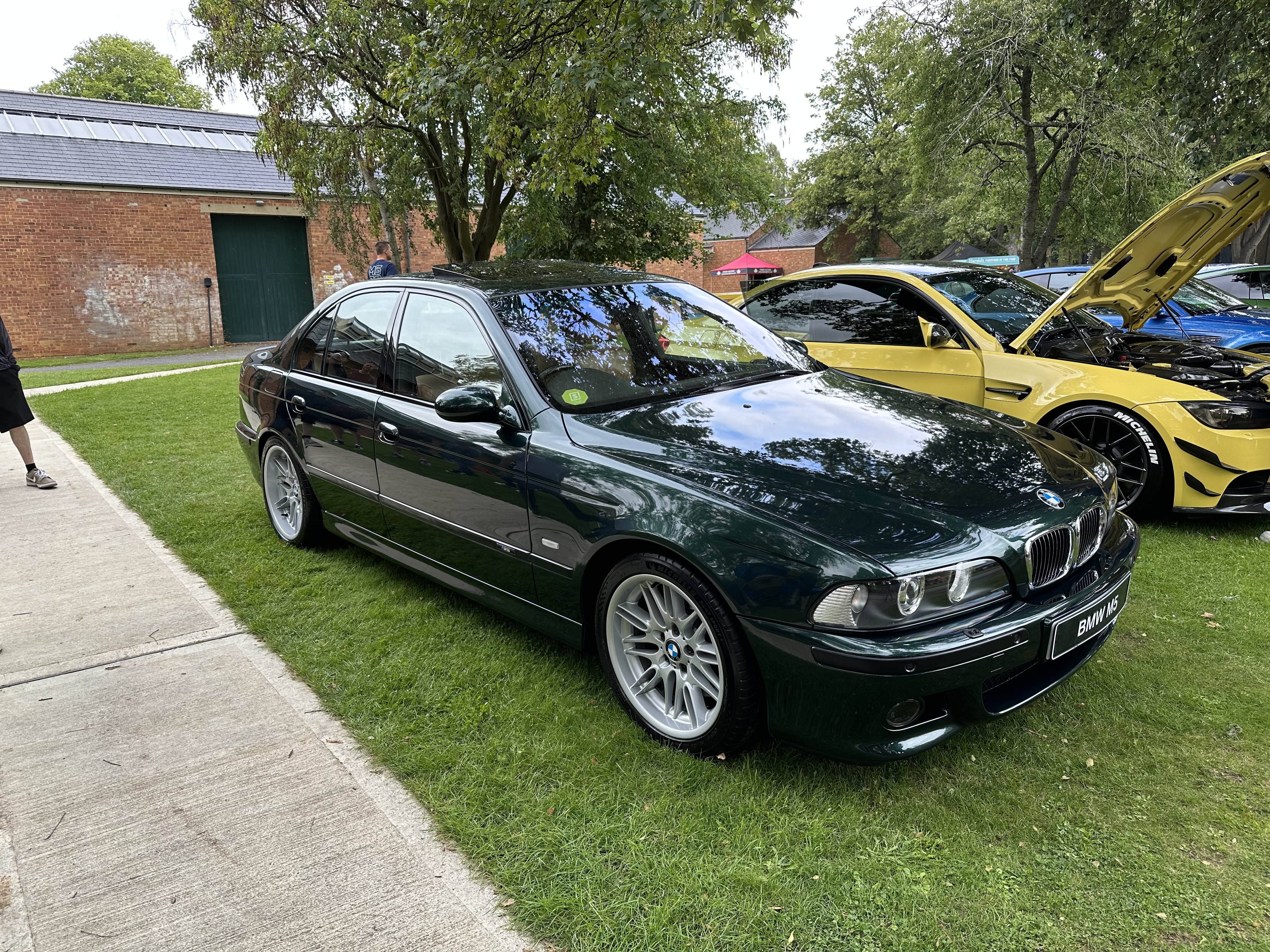IMG_0311.jpeg