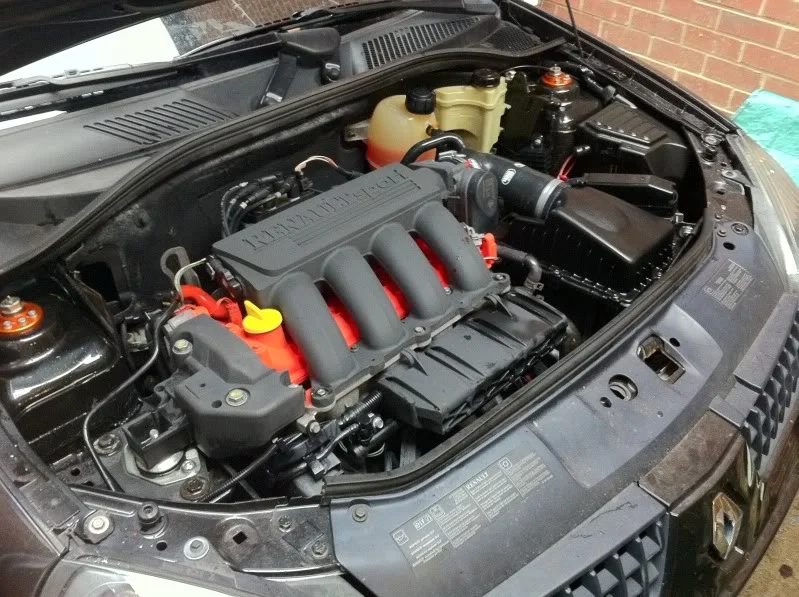 IMG_0383.webp