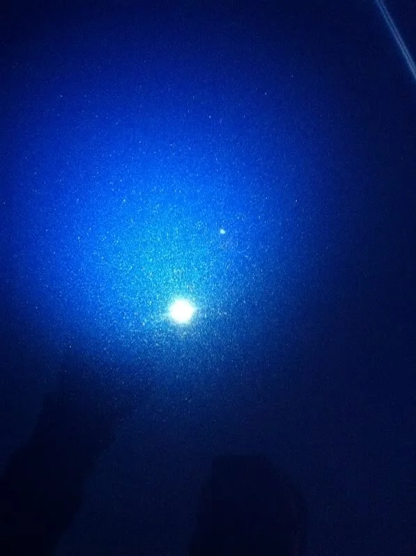 IMG_0400.webp