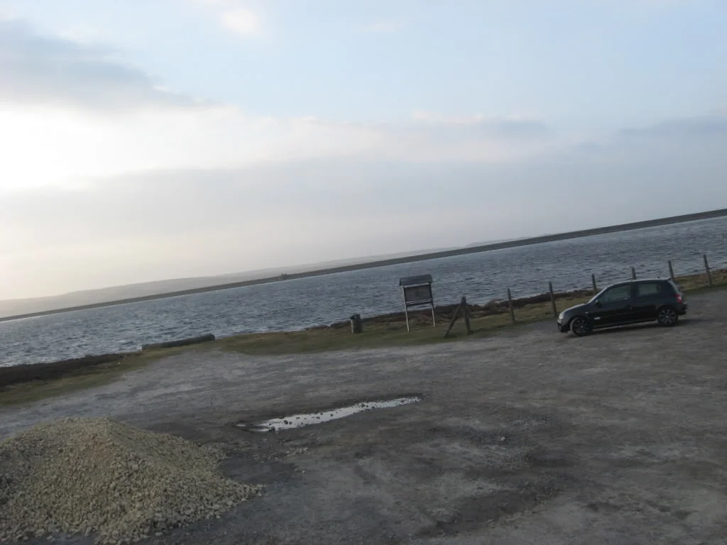 IMG_0401.webp