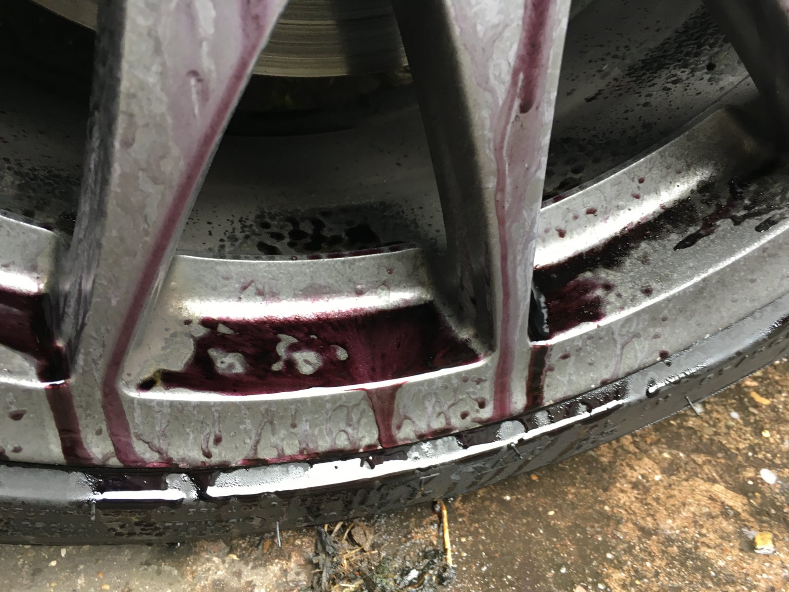 IMG_0407.JPG IMG_0407.JPG