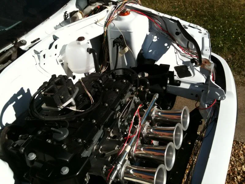 IMG_0412.webp