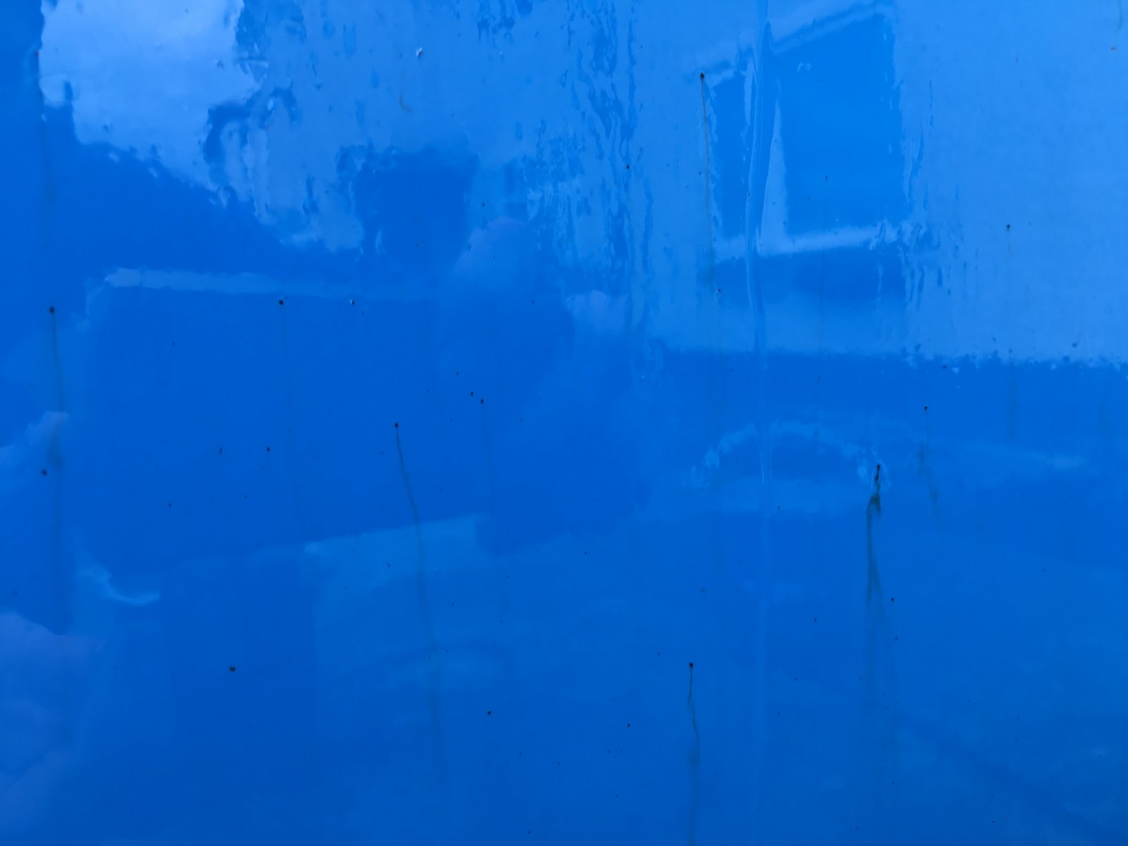 IMG_0413.JPG IMG_0413.JPG