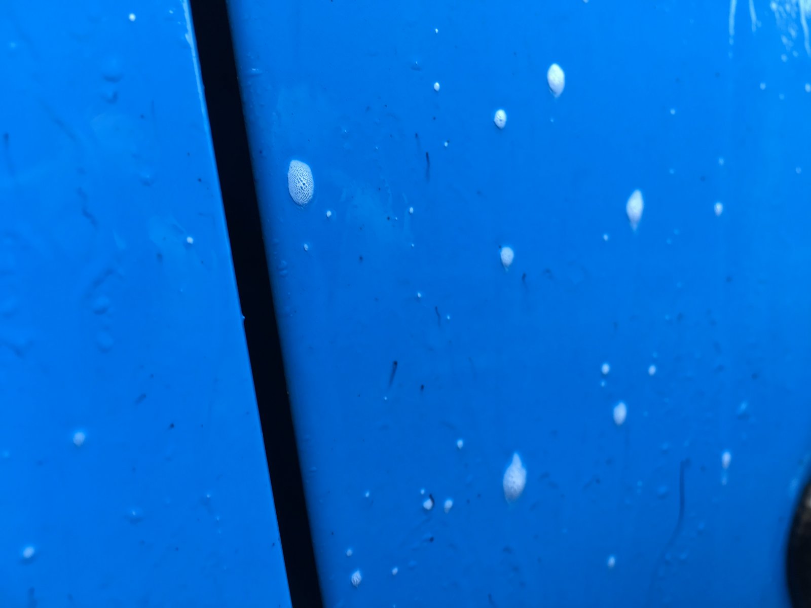 IMG_0417.JPG IMG_0417.JPG