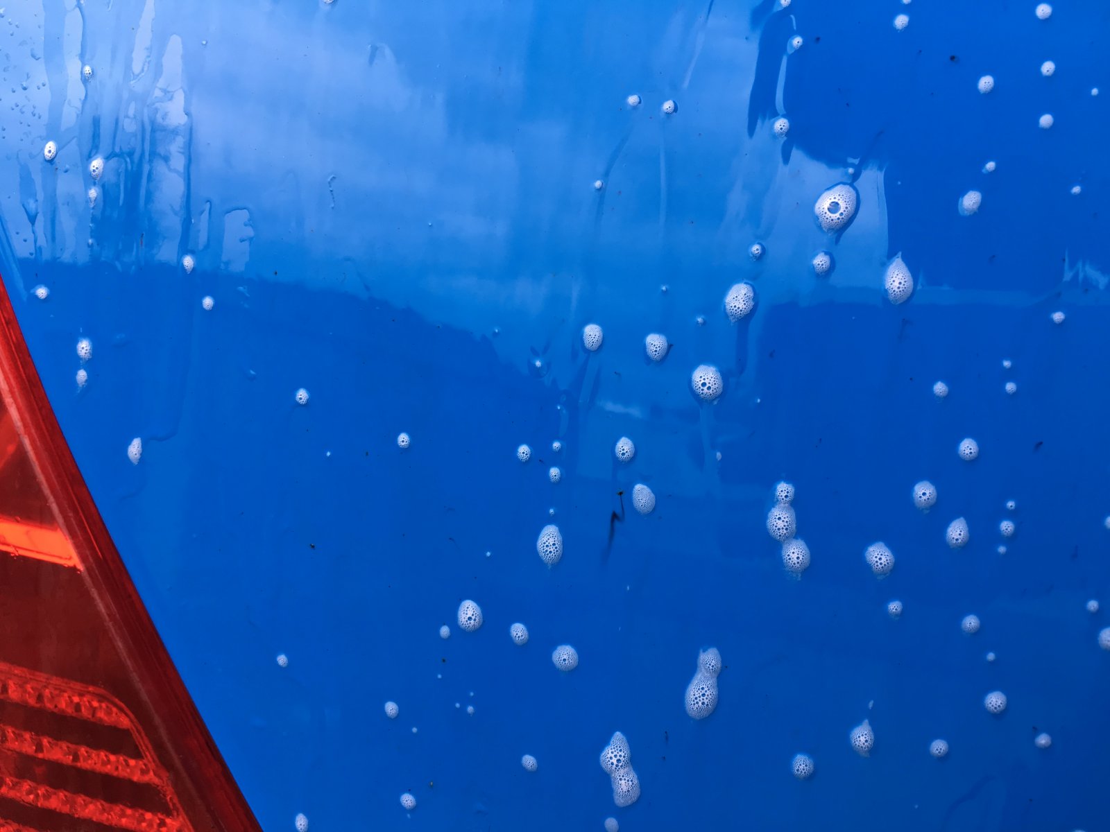 IMG_0420.JPG IMG_0420.JPG