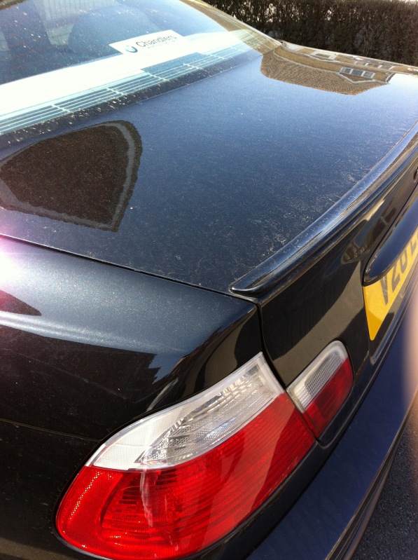 IMG_0479-1.jpg IMG_0479-1.jpg