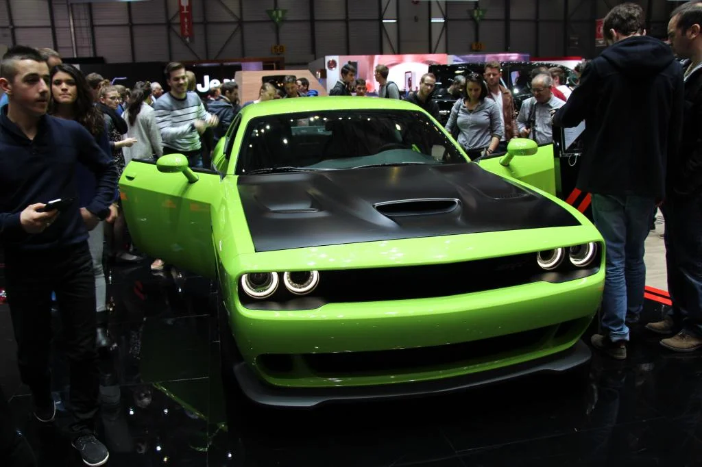IMG_0498_zps6bsqdhkk.webp