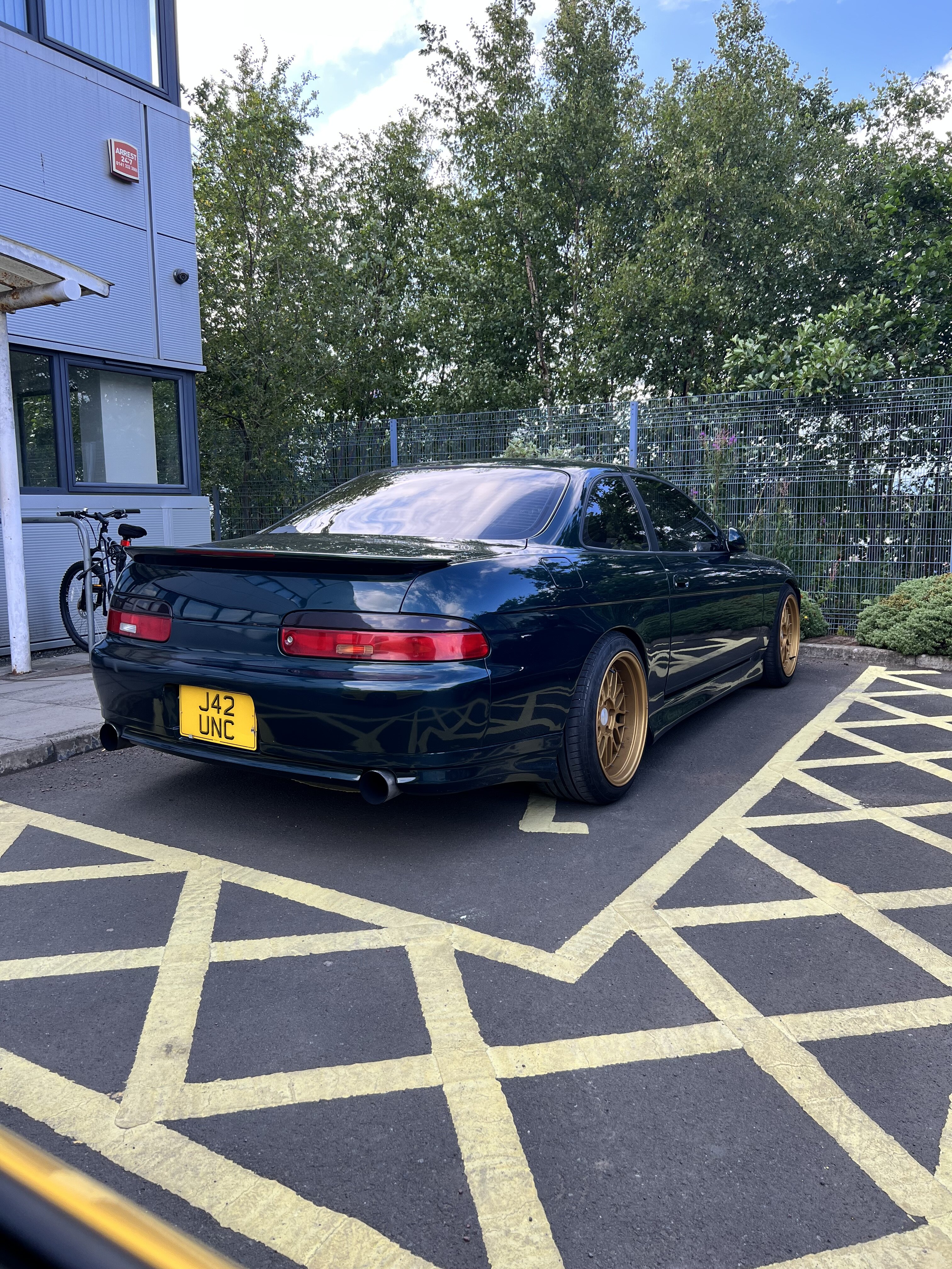 IMG_0503.jpeg