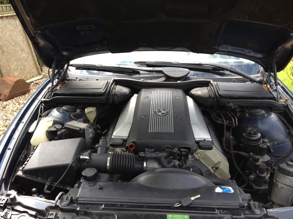 IMG_0526.jpg IMG_0526.jpg