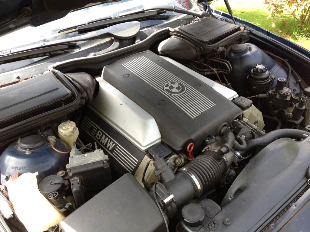 IMG_0528.jpg IMG_0528.jpg