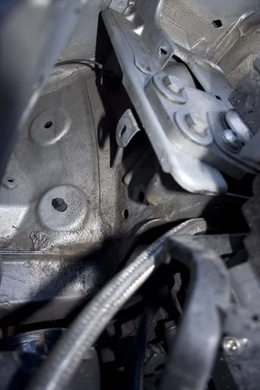 IMG_0559.webp
