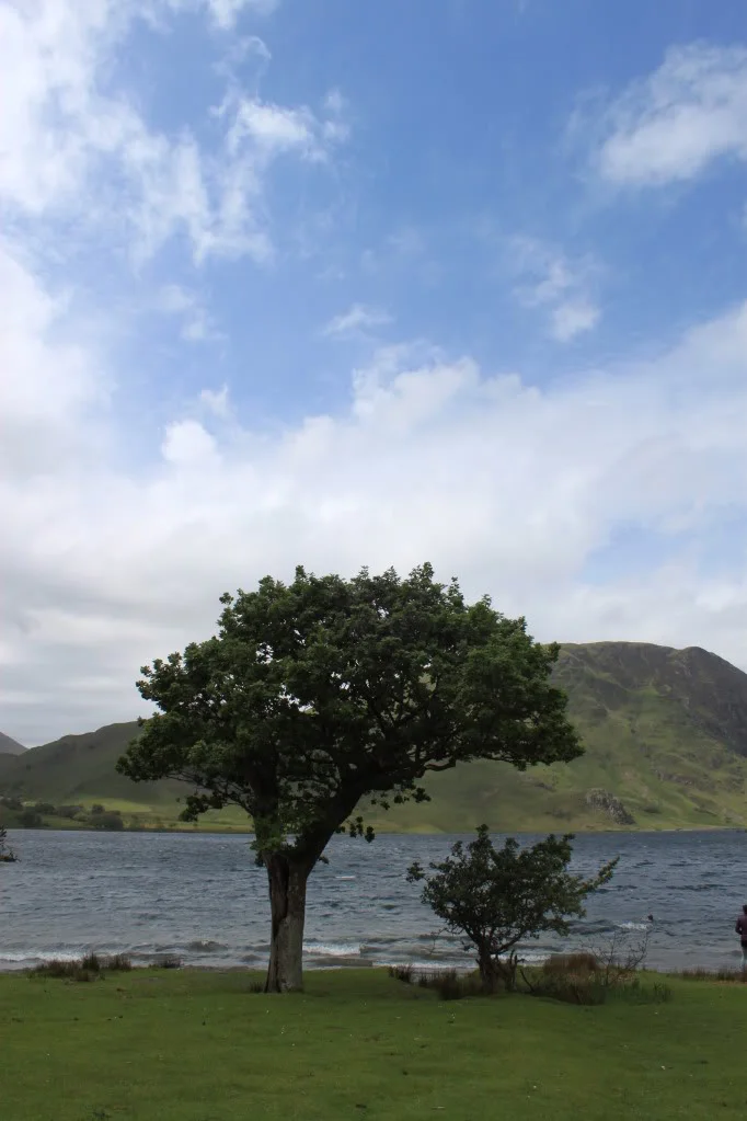 IMG_0663.webp