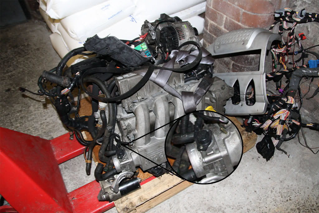 IMG_0699_enlarged.jpg