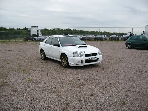IMG_0725-vi.webp