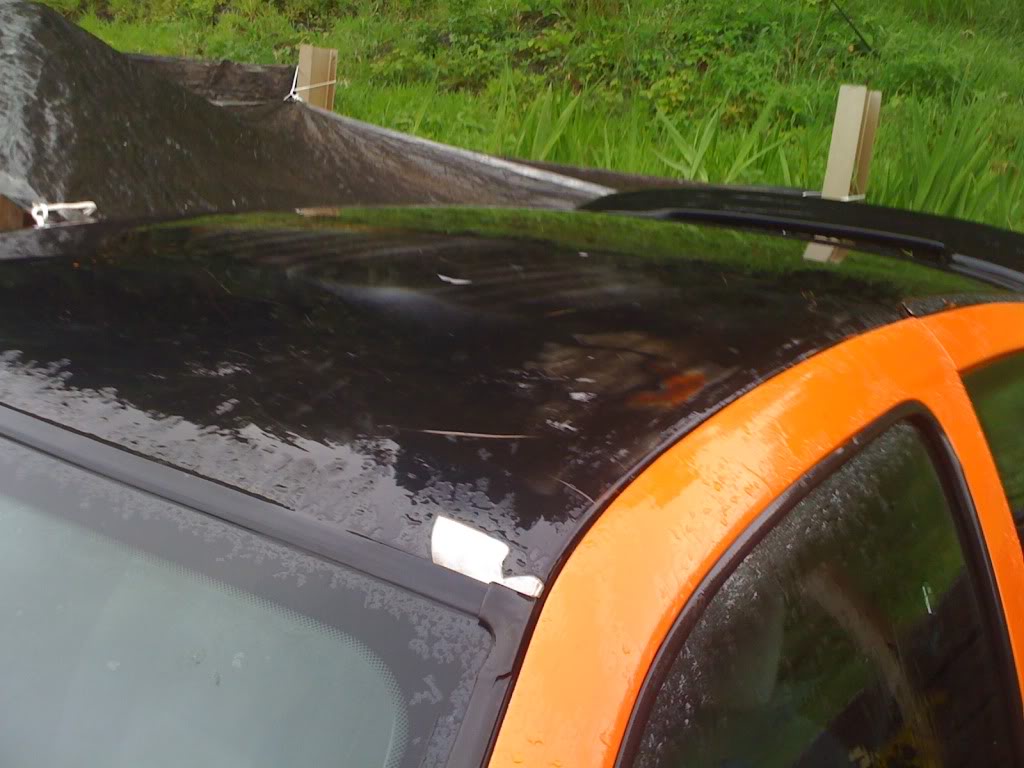 IMG_0738.jpg IMG_0738.jpg