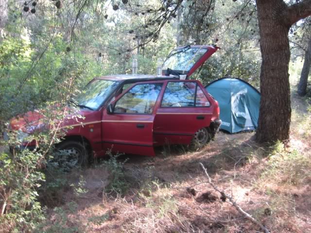 IMG_0771.jpg IMG_0771.jpg