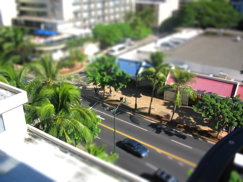 IMG_0782-tiltshift.jpg