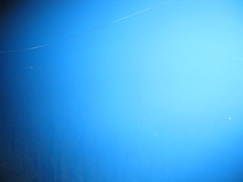 IMG_0952.jpg IMG_0952.jpg