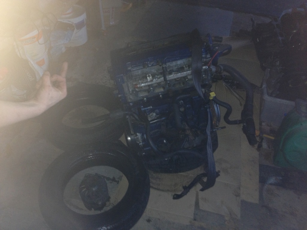 IMG_0993.jpg IMG_0993.jpg