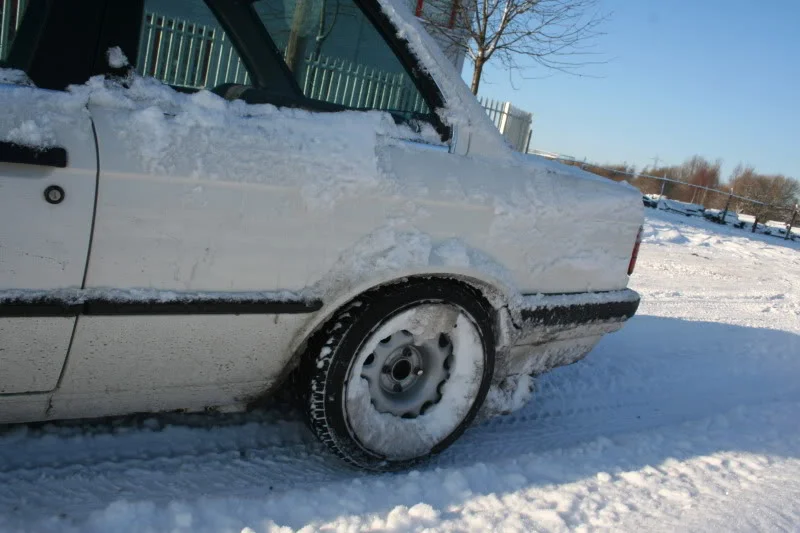 IMG_1021.webp