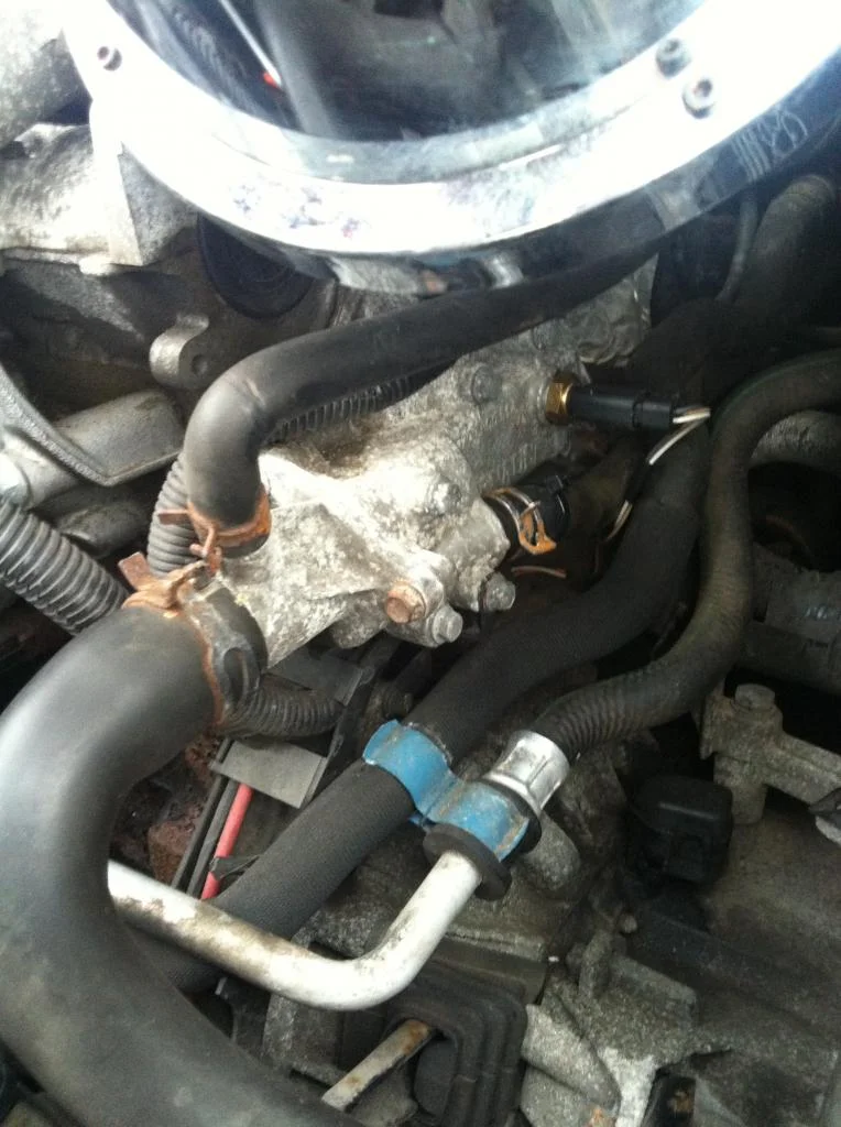 IMG_1050_zpsff01858e.webp