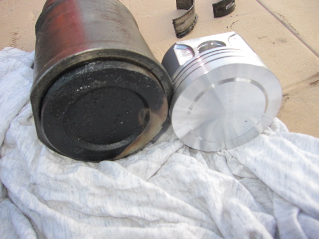 img_1113.jpg img_1113.jpg