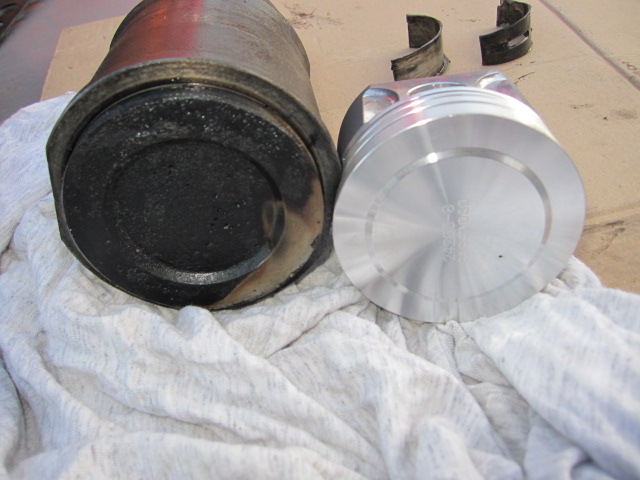 img_1114.jpg img_1114.jpg